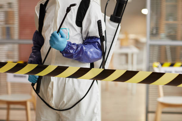 Professional Sewage Cleanup technician working in Gilmanton, NH
